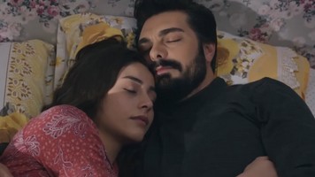 Доверенное 387 серия